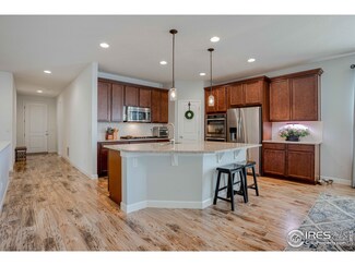3287 Raintree Ln, Dacono, CO 80514