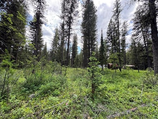 768 Deep Woods Trail, Polebridge, MT 59928