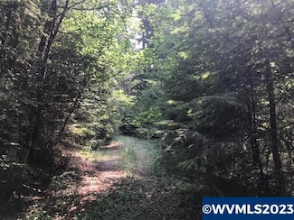 0 Nfd 305 Rd Unit 803342, Sweet Home, OR 97386