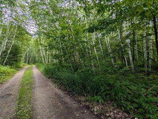 Lot 8 151st Ave, Beaver, WI 54889