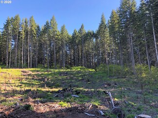 48 Moonshine Rd Unit 2, Appleton, WA 98602