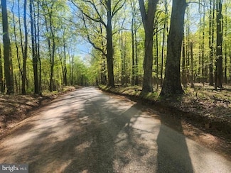 0 Critton-Owl Hollow Rd, Bloomery, WV 25434