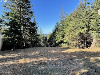 0 Chris La Ln Unit 589499614, Port Orford, OR 97465