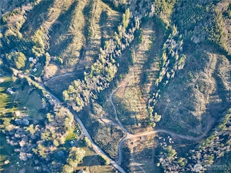 0 Tract 3 S Valley Rd, Naselle, WA 98638