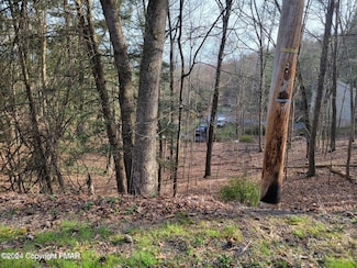 53 Woodcrest Dr, Middle Smithfield Township, PA 18302