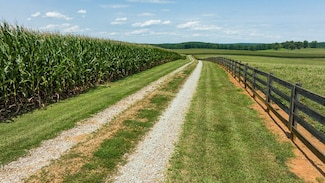 1403 Moores Mill Rd, Rougemont, NC 27572