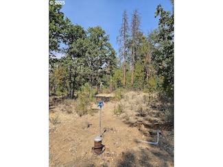 0 Hawks Wind Rd Unit 1 162521196, Goldendale, WA 98620