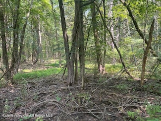 L-5 Gayhead-Earlton Rd, Greenville, NY 12083