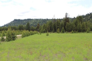 Unk W Fork Ln, de Borgia, MT 59830