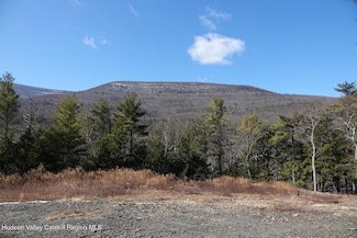 TBD Manorville, Saugerties, NY 12477