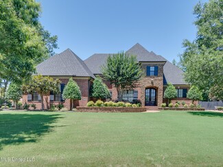 13906 River Grove Ln, Olive Branch, MS 38654
