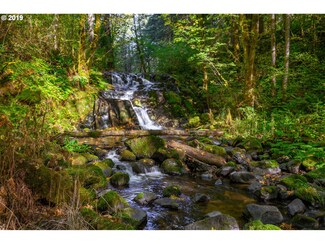 0 Gilbert Creek Rd, Willamina, OR 97396