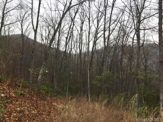 1423 Flint Rock Trail Unit LOT 198, Arden, NC 28704