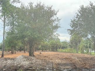 565 S Datil St, Montura, FL 33440