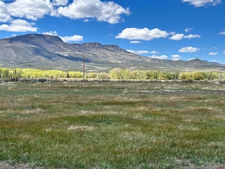 Tract 2 El Dorado Ln, South Fork, CO 81154