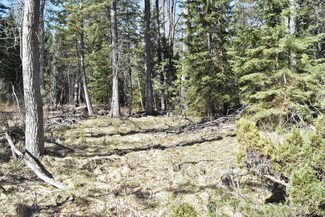 2282 Alder Springs Ln, Victor, MT 59875