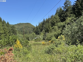 0 Cedar Valley Rd Unit 286070922, Gold Beach, OR 97444
