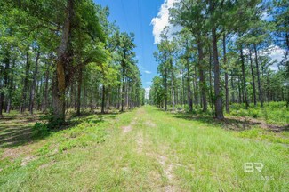 0 W Hurricane Rd Unit Lot 3 381368, Bay Minette, AL 36507