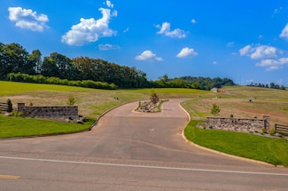 Lot 26 Vista Ridge Dr, White Pine, TN 37890