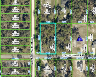 0 Yellow Hammer Rd, Weeki Wachee, FL 34614