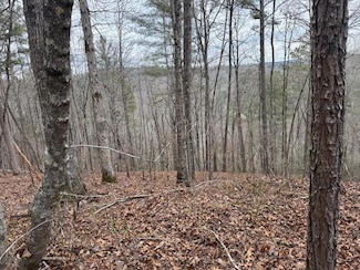 0 Rebekah Ridge Unit 7532186, Talking Rock, GA 30175