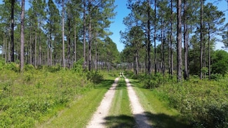 4761 Hadley Ferry Road (428+ - Acres), Cairo, GA 39828