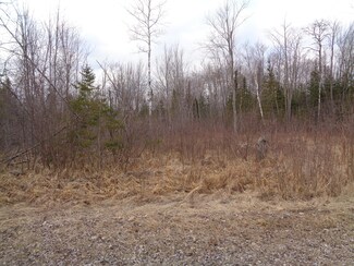 130 Custer Rd, Alpena, MI 49707