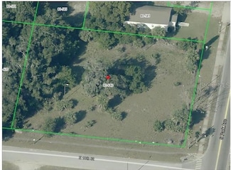 950 S Park Ave, Apopka, FL 32703