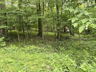O Matterhorn Rd, Jenner Township, PA 15531