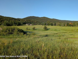 57 Warm Creek Ln, Victor, ID 83455