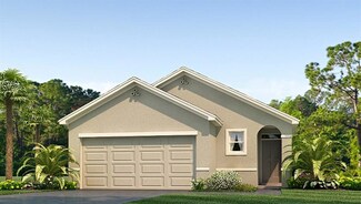 9051 Water Chestnut Dr, Thonotosassa, FL 33637