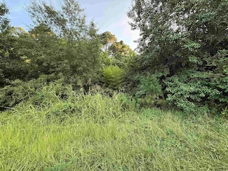 00 Moountain Pine, Hot Springs, AR 71913
