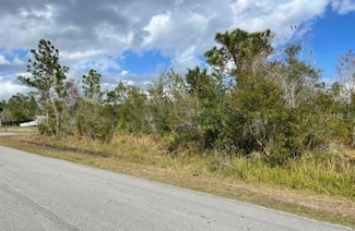 5155 Topeka Ave, Saint Cloud, FL 34773