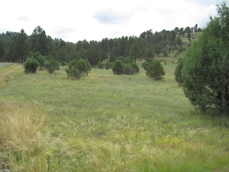 134 Deer Valley Dr, Alto, NM 88312