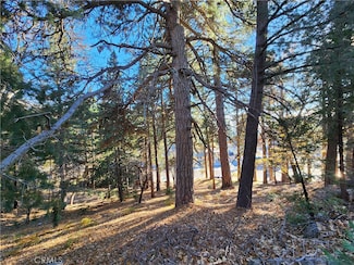 0 Lovers Ln Unit IG25154338, Rimforest, CA