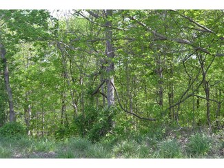 0 State Road 62 Unit 201602734, Leavenworth, IN 47137