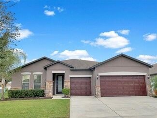 1509 Banner Elk St, Valrico, FL 33594