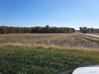 XXX Dudleyville Rd, Greenville, IL 62246