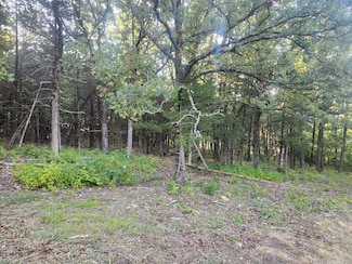 Lot 17 Indian Knob, Mountain View, AR 72560