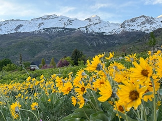 1653 N Rosanna Cir E, Alpine, UT 84004