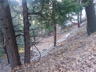23977 Skyland Dr, Crestline, CA 92325