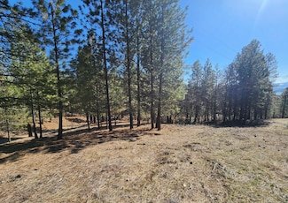 #16 Delaware Ave, Kettle Falls, WA 99141
