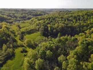 1429 Willow Run Rd, Belleville, WV 26133