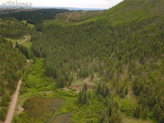 10223 Trail Creek Rd, Florissant, CO 80816