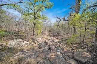 44 Acres Slusher Rd, Jacksboro, TX 76458