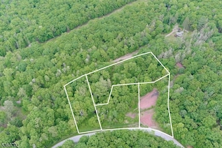 13 Brookhaven Way, Montague, NJ 07827