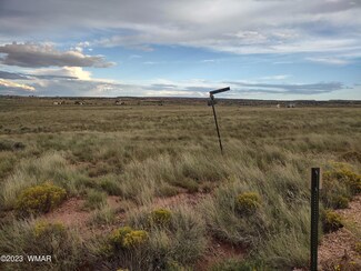0 6031 and 6030 Unit 248255, St. Johns, AZ 85936