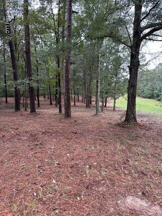 0 11th Ave Nw and Old Magee Rd, Magee, MS 39111