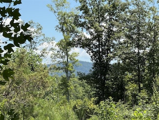 0 Collins Rd Unit 4 CAR4287443, Bostic, NC 28018