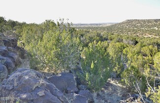 13F Wagon Ln, Show Low, AZ 85901